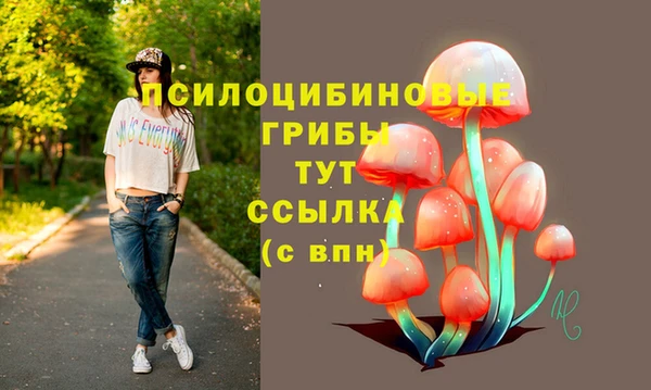 PSILOCYBIN Абдулино