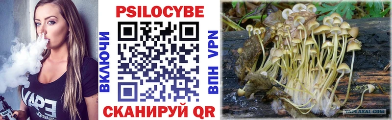 Псилоцибиновые грибы Psilocybe  мориарти клад  Бугуруслан  mega онион 